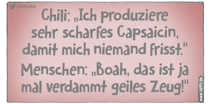 6 Sprüche über Chili · Häfft.de