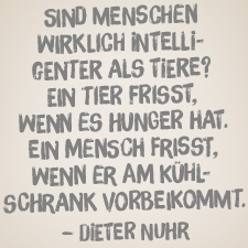 6 coole Sprüche für zwischendurch · Häfft.de