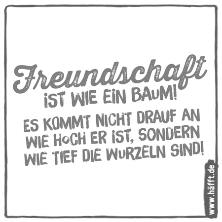 7 Zitate Sprüche über Freundschaft Häfftde