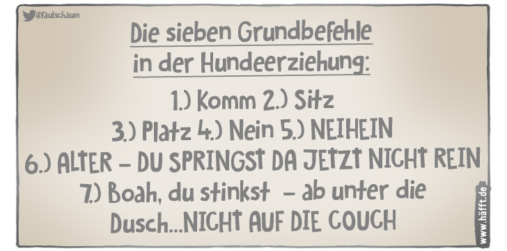 8 Sprüche zum Tag des Hundes · Häfft.de