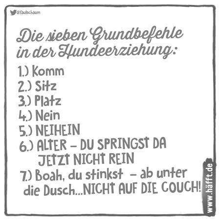 Lustige Spruche 31 Dinge Die Sich Hunde Denken Die Hundezeitung