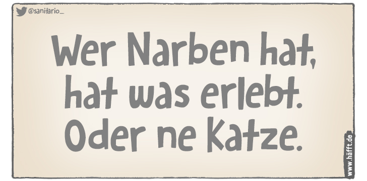 7 Sprüche zum Tag der schwarzen Katze · Häfft.de