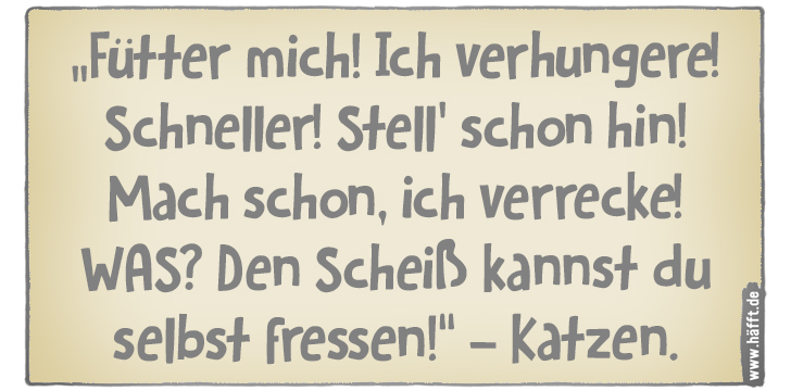 7 Sprüche über Katzen · Häfft.de