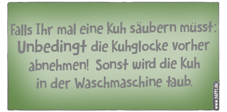 Die 7 kuhlsten Sprüche & Witze mit Kühen · Häfft.de