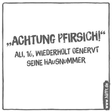 8 Lustige Spruche Aus Dem Alltag Von Leuten Hafft De